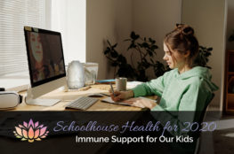 Schoolhouse Health for 2020: Immune Support for Our Kids