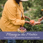 Money in the Matrix – Preserving and Generating Sustainable Wealth