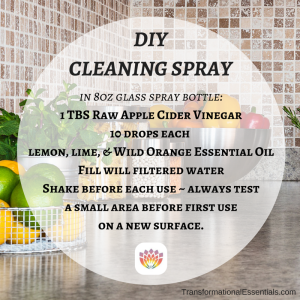 DIY EO Cleaner Transformational Essentials