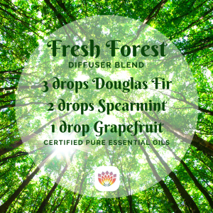 Fresh Forest Essential Oil Diffuser Blend Transformational Essentials