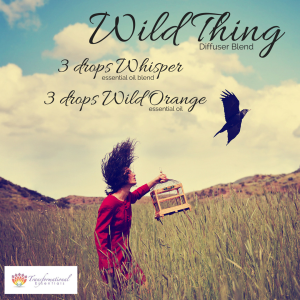 Wild Thing Essential Oil Diffuser Blend