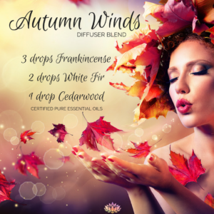 Autumn Winds Diffuser Blend